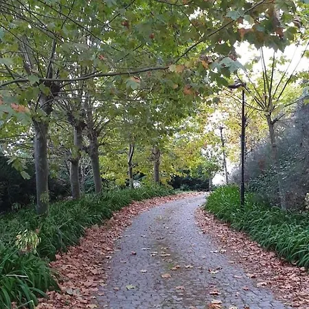Quinta Da Touca